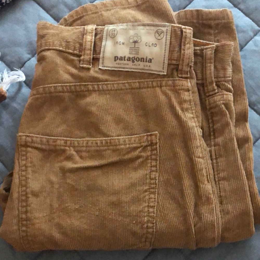Patagonia Men's Tan Corduroy Pants